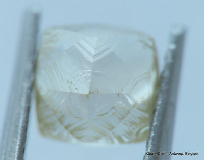 1.03 CARAT NATURAL DIAMOND WITH RARE CHARACTERS ON SURFACE, OUT FROM A DIAMOND