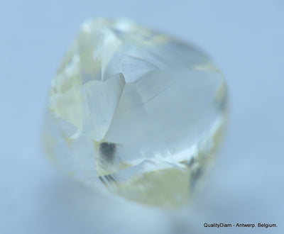 H Flawless clean white 0.52 carat genuine diamond natural real diamond uncut raw