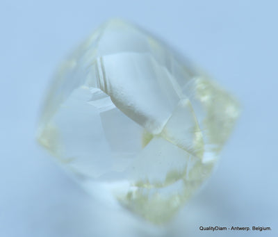 H Flawless clean white 0.52 carat genuine diamond natural real diamond uncut raw