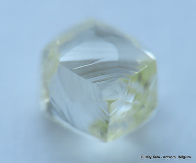 H Flawless clean white 0.52 carat genuine diamond natural real diamond uncut raw