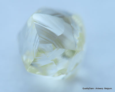 H Flawless clean white 0.52 carat genuine diamond natural real diamond uncut raw