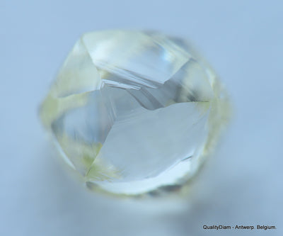 H Flawless clean white 0.52 carat genuine diamond natural real diamond uncut raw