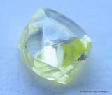 Beautiful diamond intense fancy yellow rare natural diamond mackle