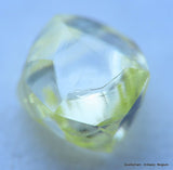 Beautiful diamond intense fancy yellow rare natural diamond mackle