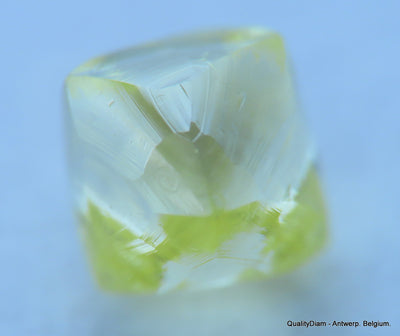 Beautiful diamond intense fancy yellow rare natural diamond mackle