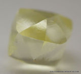 ROUGH DIAMOND 